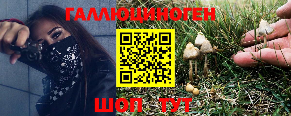 Прокопьевск  Псилоцибиновые грибы мицелий  Вход с VPN  Псилоцибиновые грибы GOLDEN TEACHER 